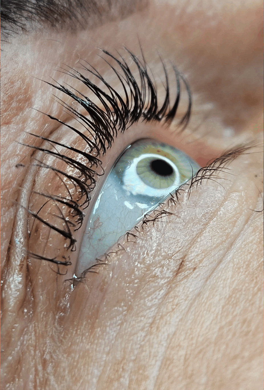 stylizacja brwi Łódź En Ju Studio – perfekcyjny kształt i naturalny efekt